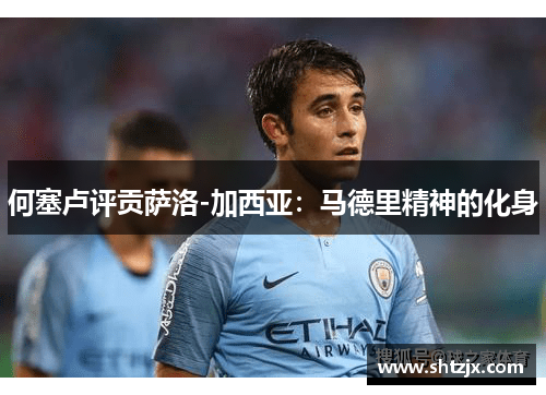 何塞卢评贡萨洛-加西亚：马德里精神的化身