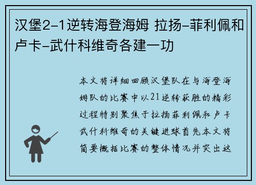 汉堡2-1逆转海登海姆 拉扬-菲利佩和卢卡-武什科维奇各建一功