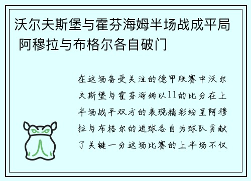 沃尔夫斯堡与霍芬海姆半场战成平局 阿穆拉与布格尔各自破门 沃尔夫斯堡与霍芬海姆半场战成平局 阿穆拉与布格尔各自破门